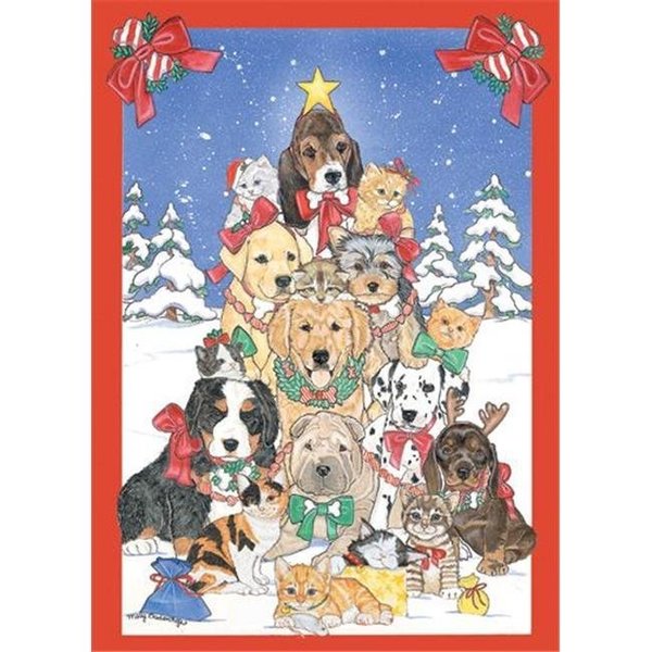 Pipsqueak Productions Pipsqueak Productions C979 Mix Dog With Cat Holiday Boxed Cards C979